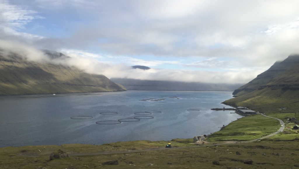 Faroe Islands: The best investor is one with dirty shoes