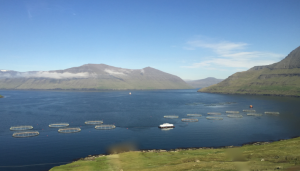 Faroe Islands - The best investor is one with dirty shoes - Bonafide Ltd. team visiting fish farms around the globe.