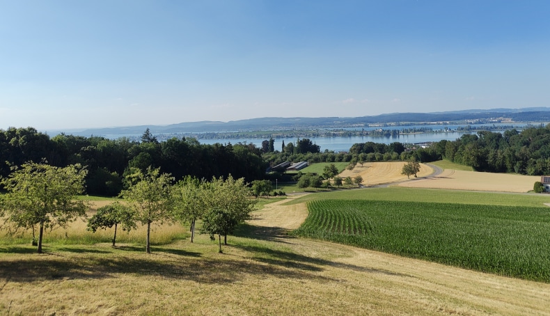 Ausblick vom UBS Center for Education and Dialogue auf dem Wolfsberg über Ermatingen auf den Untersee am Bodensee an einem heissen Sommertag im Juni 2026.